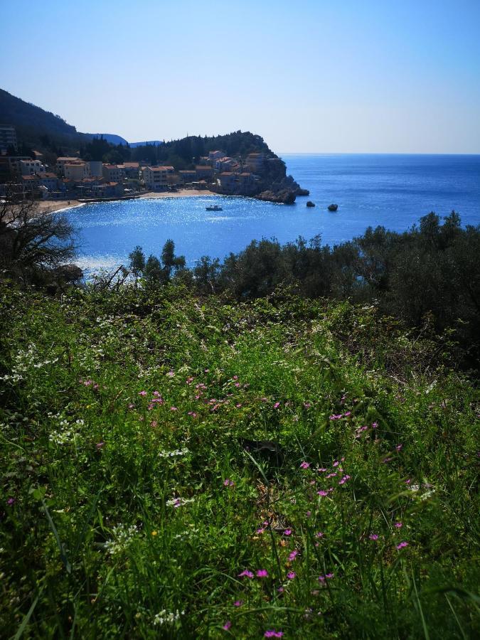 Langust - Free Parking Apartman Sveti Stefan Kültér fotó